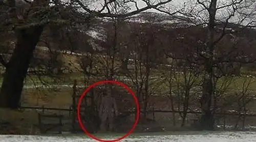 世界上真的存在幽灵吗?科学家征集"鬼"片