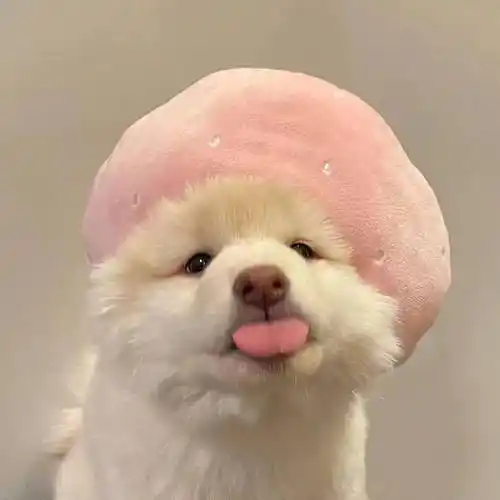 清新脱俗的头像喊姐妹换上