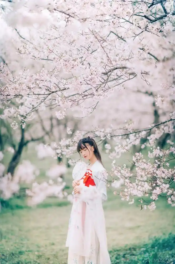 樱花树下唯美的古风少女