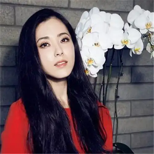 徐百卉是谁的女儿为什么不火(出道19年却不温不火)(2)