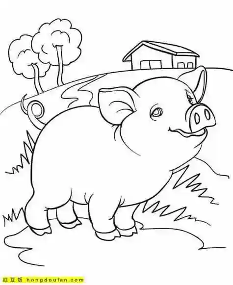 农场的动物 简笔画,农场的动物简笔画又好看又简单