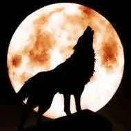 狼头图片霸气图好看霸气的狼头精选