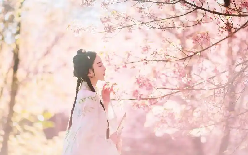性感古装美女唯美桃花写真高清桌面壁纸