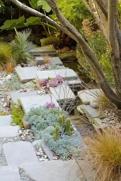 40个多肉庭院太美了