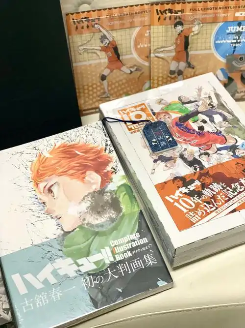 排球少年原画集十周年纪念册