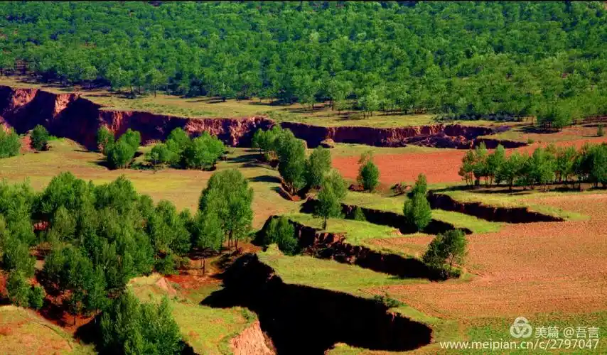 想起那年秋游右玉