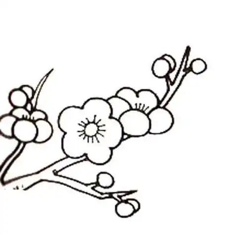 梅树的简笔画铅笔画4张梅子简笔画儿童画绘画吧-画画儿童简笔画-梅花