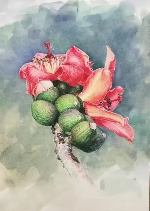 却是南中春色别,满城尽是木棉花