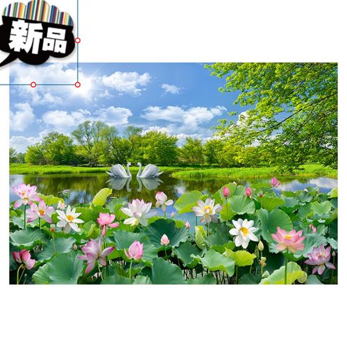 定制荷花图客厅装饰画天鹅蓝天白云卧室餐厅墙贴画壁画自粘定制 荷花
