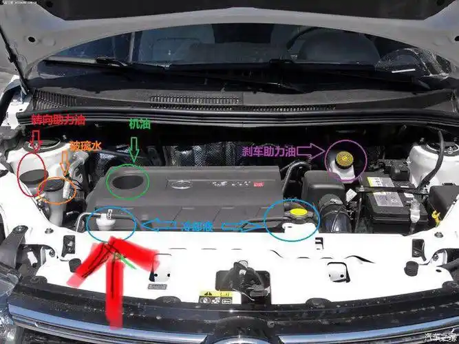 我就想知道冷却液?防冻液?到底加在那个里面?