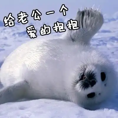 小海豹gif可爱gif给老公一个gif爱的抱抱gif