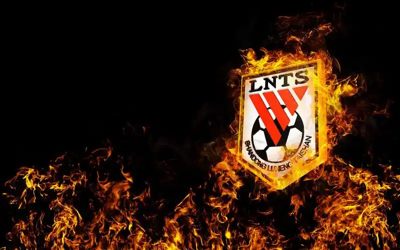 11我爱鲁能以及省体的和电视机前的泰山队可爱的球迷!