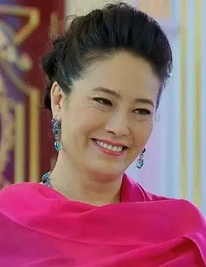 美妙的奇遇宫夫人是谁演的_宫夫人的扮演者