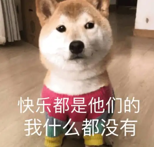 快乐都是他们的,我什么都没有 - 网红柴犬芋圆表情包_狗子表情