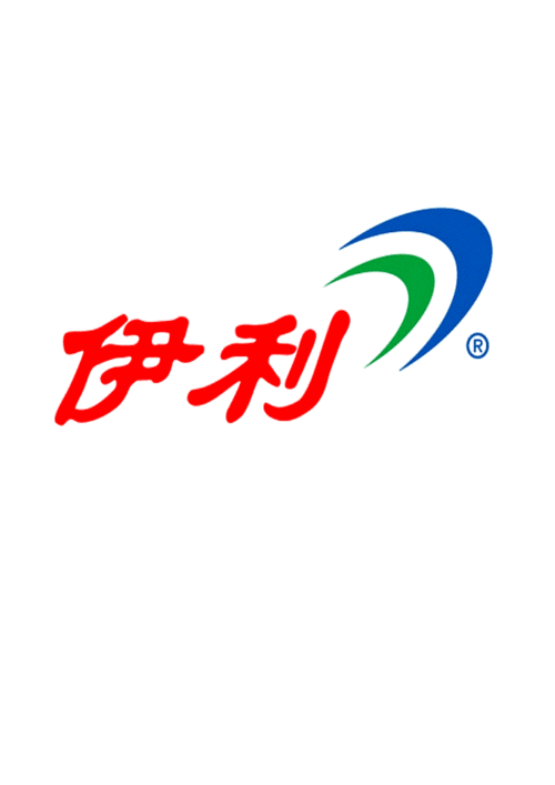 伊利20052009财务报表分析doc40页