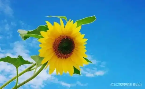 2021早安朋友圈说说