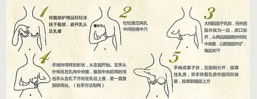 江浙沪批发伊诺斯 强效丰胸饱满坚挺复方按摩精油