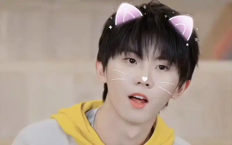 【马嘉祺】猫塑粉的天堂!暂且做会儿妈粉!