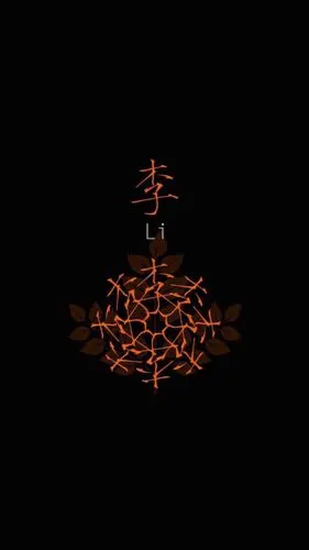 姓氏:李