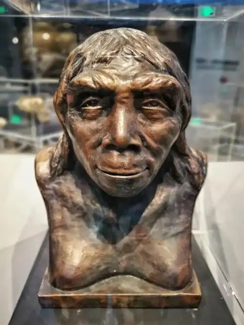 打制石器和用火遗迹等新材料,是研究人类发展史和中国原始社会史极其