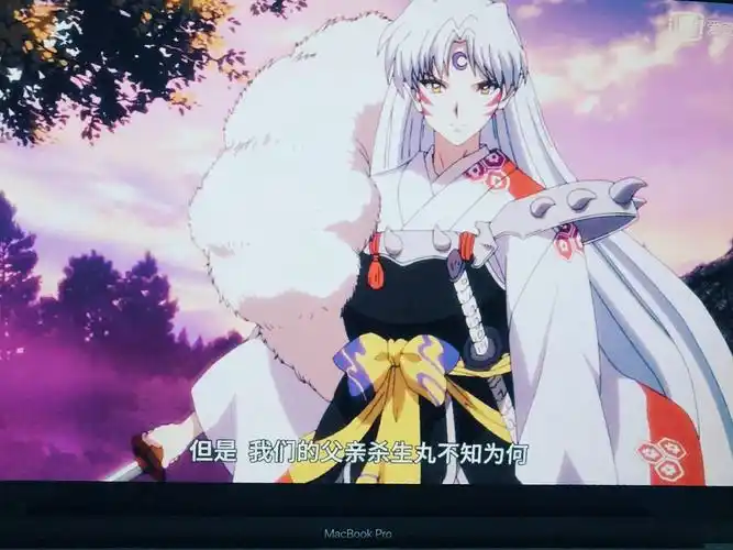 半妖的夜叉姬】第2季,后来查了一下原来去年就已经继【犬夜叉】后出了