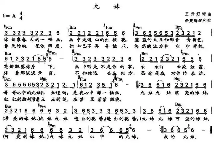 九妹李建辉配和弦