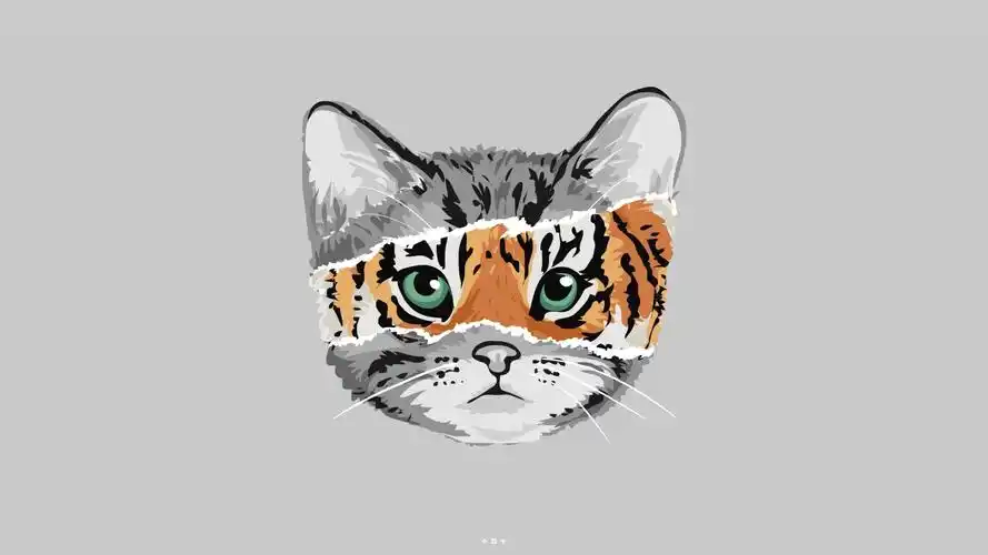 可爱虎猫#macz壁纸下载