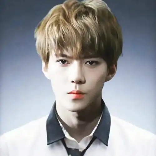 大家快来发爱豆们的证件照