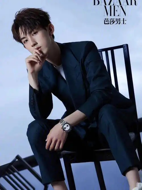 郭俊辰代言的帝舵表