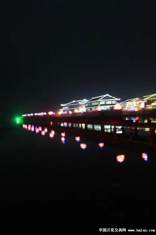 美在长荡湖夜景欣赏
