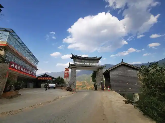 在冰岛老寨的周围是数百年树龄的古茶树,其中有着千年树龄的冰岛老寨