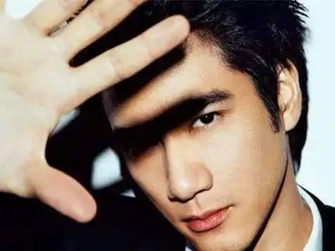 西方_王力宏_差距