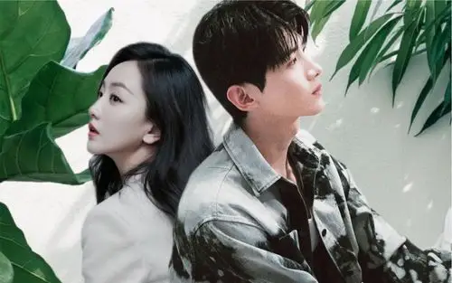 杨蓉x白敬亭蓉白cp向小白杨abo重回我爸的高中时代