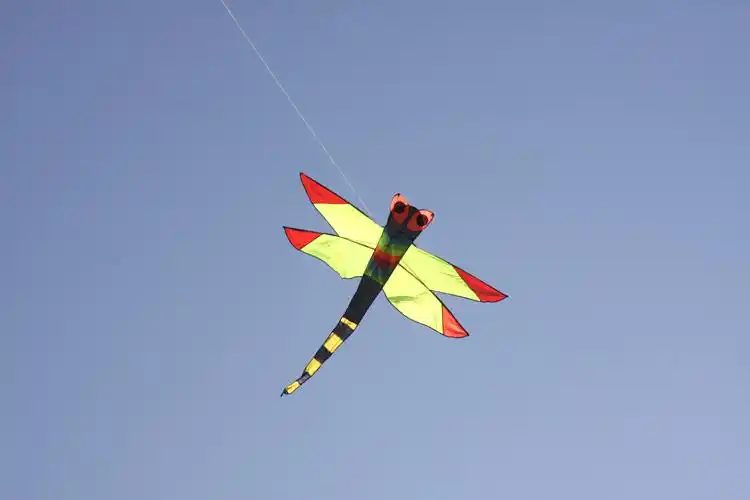 【恒江】新款立体蜻蜓风筝 昆虫风筝 儿童风筝 热卖hj119