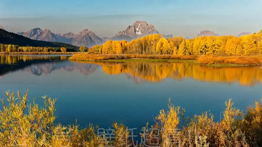 秋天黄色灿灿湖面景色壁纸