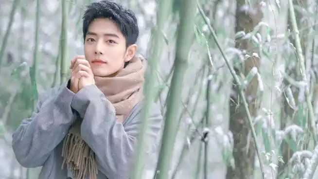 肖战冬至竹林大片##肖战