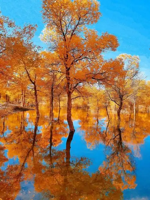 十一月份适合去哪里旅游(中国最美秋景top12)