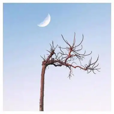 超创意简约微信头像卡通 干净清新有内涵图片 - 微信头像 - 潮人个性