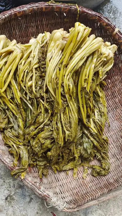 浆水菜(浆水菜怎么吃)