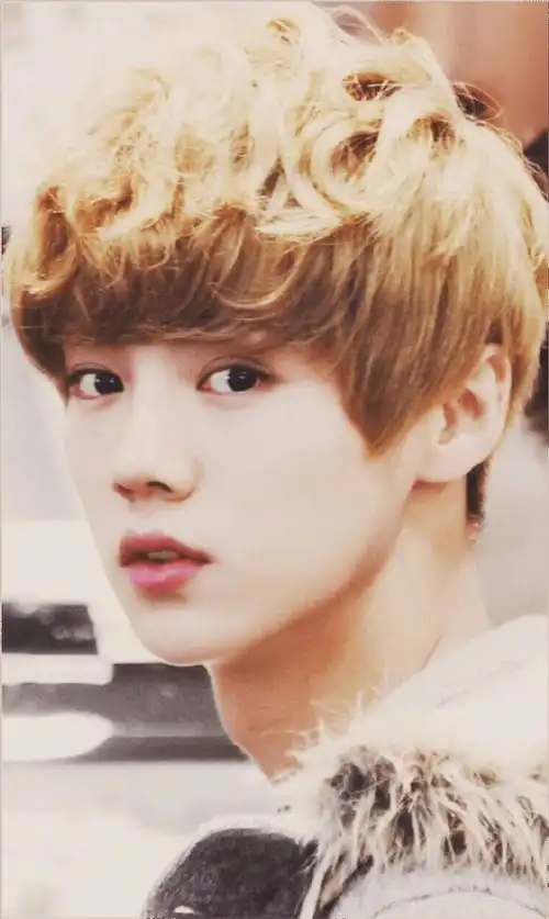 鹿晗的造型真的是非常的年轻了,又有活力又灵动,金色的卷发造型和八年