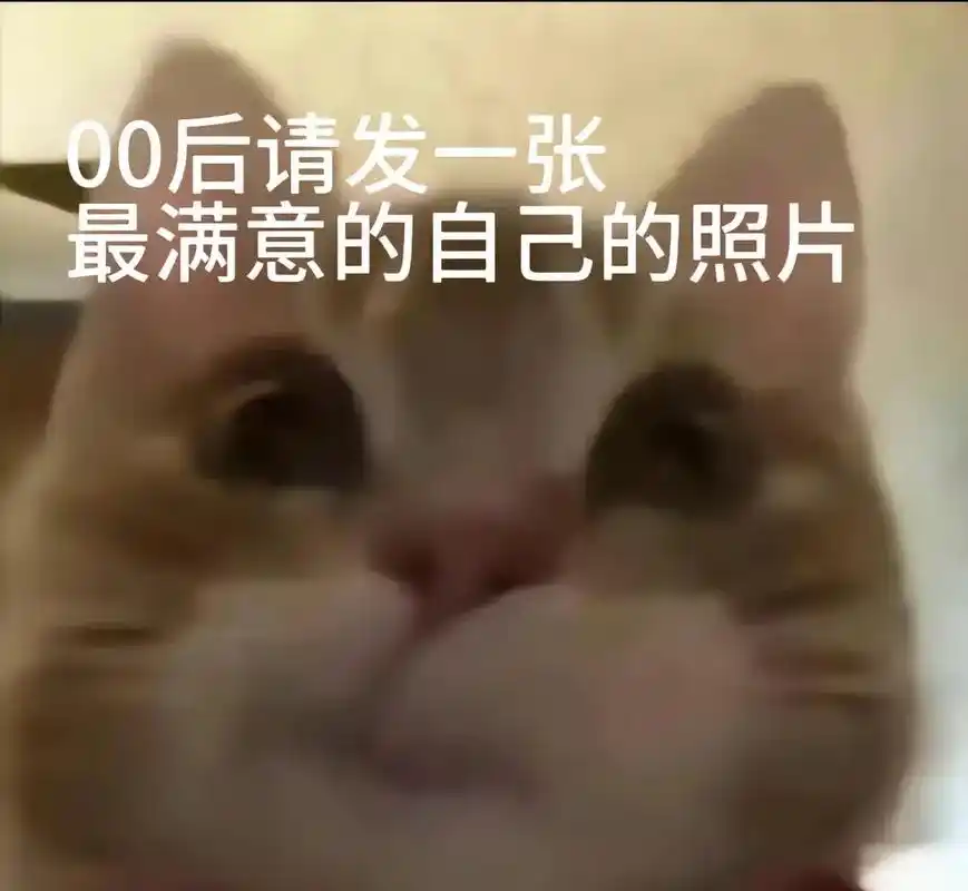 男生女生,评论区找对象.#找对象要找什么样的人 #表情包 - 抖音