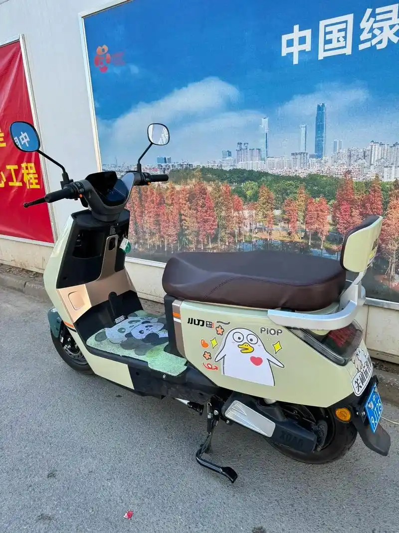 南宁电动车出租.中国绿城 文明城市小刀72v23a超长续航