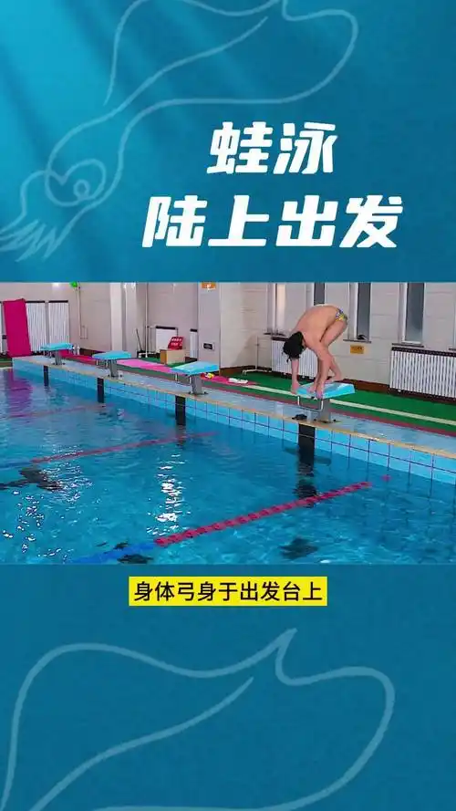 蛙泳的陆上出发游泳 蛙泳 蛙泳出发 游泳教学