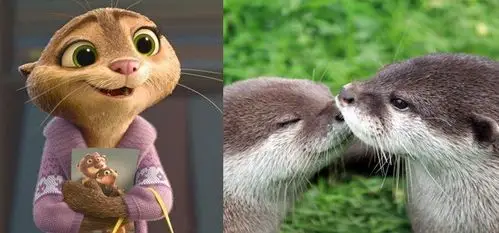 水獭是一种极其珍贵的动物,是半水栖兽类,分布在欧亚大陆及其邻近的