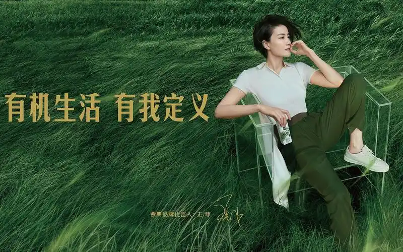王菲:有机生活,有我定义_哔哩哔哩 (゜-゜)つロ 干杯~-bilibili