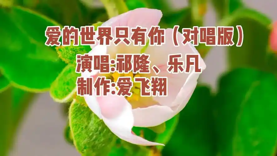祁隆,乐凡一首《爱的世界只有你(对唱版)》经典老歌,好听极了