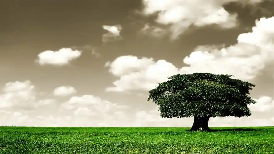 好看的桌面壁纸电脑桌面壁纸软件