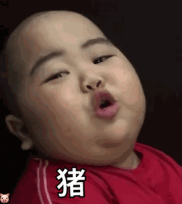 动图_gif_动图_网红_babyjrsugiantotatan_小胖表情小胖子表情包⒐545