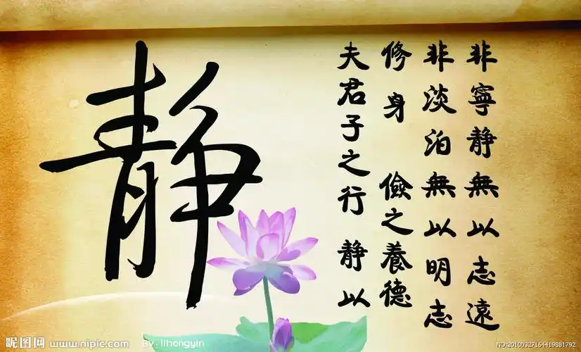 《五个字,升华你的人生智慧》静生命的魅力在于"静".