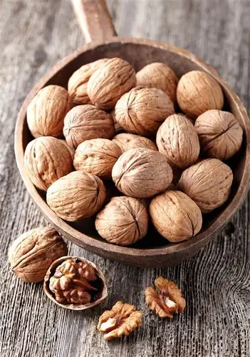 木瓢中的核桃高清图片